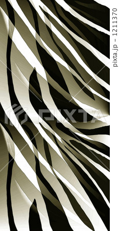 New ZEBRA Ⅱ 1211370