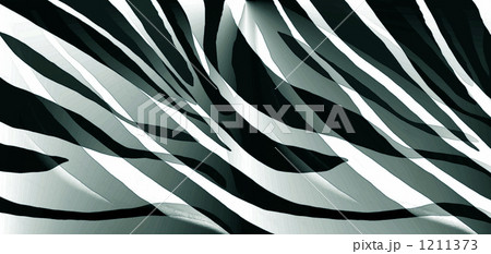 New ZEBRA Ⅲ 1211373