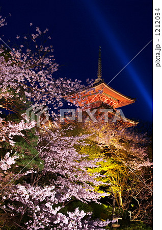 夜桜と清水寺 1212034