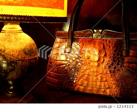 クロコダイルが示す天然の威厳 クロコダイルが示す天然の威厳 1214313