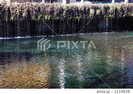 冬の忍野八海 1214638