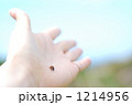 未来へ 1214956