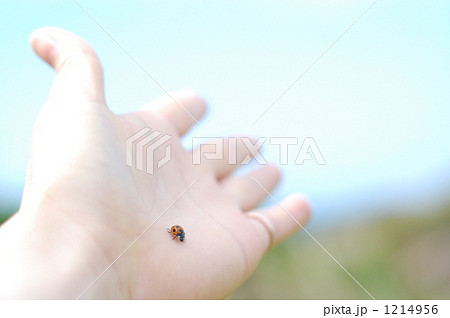 未来へ 1214956