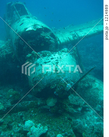 海中に眠る日本軍の戦闘機 海中に眠る日本軍の戦闘機 1214989