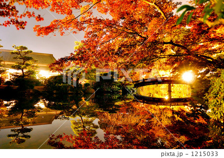 長府庭園の紅葉ライトアップ 長府庭園の紅葉ライトアップ 1215033