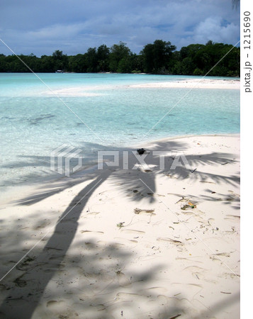 エメラルドブルーの海と砂浜 1215690