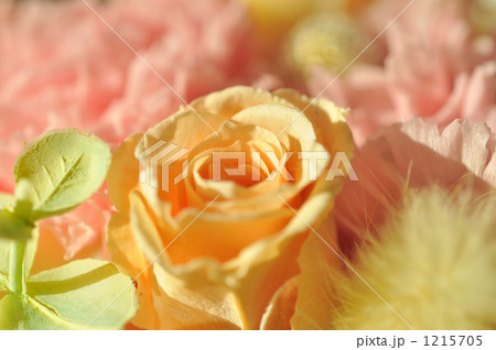 ブリザードフラワー　薔薇 1215705