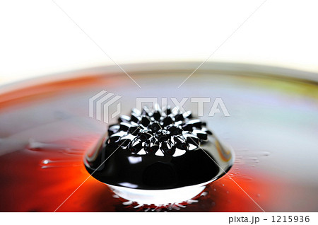 磁性流動体 磁性流動体 1215936