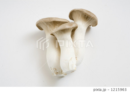 エリンギ エリンギ 1215963