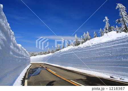 八幡平の雪の回廊 八幡平の雪の回廊 1216367