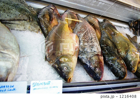 チェコの魚屋 チェコの魚屋 1216408