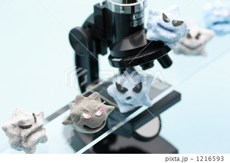 ばい菌と顕微鏡 1216593