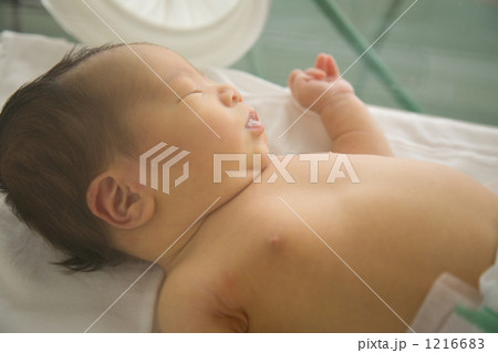 保育機の中の新生児 1216683