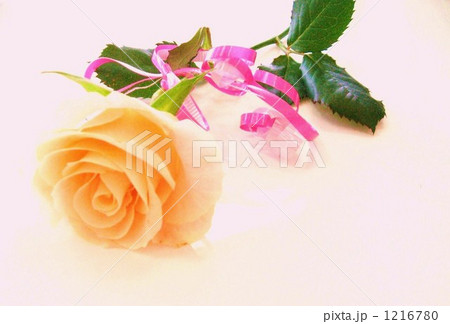 一輪の花束 1216780