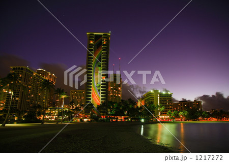 パープルレインボー 1217272