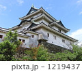 和歌山城 1219437