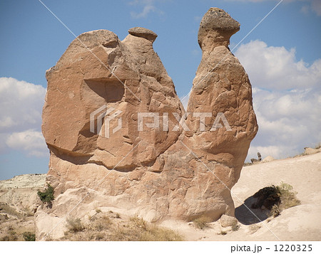 世界遺産「ギョレメ国立公園とカッパドキアの岩窟群」の「デヴレント（ラクダ岩）」（トルコ） 1220325