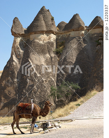 世界遺産「ギョレメ国立公園とカッパドキアの岩窟群」の「パシャバー(キノコ岩)のラクダ」(トルコ) 世界遺産「ギョレメ国立公園とカッパドキアの岩窟群」の「パシャバー(キノコ岩)のラクダ」(トルコ) 1220337