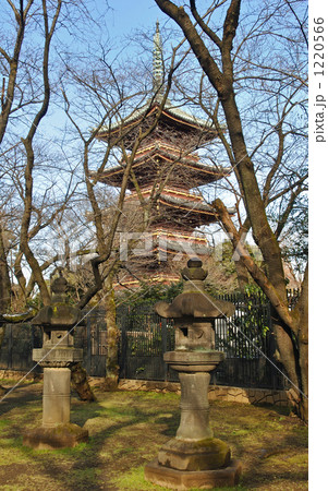 上野公園散歩・上野東照宮石灯籠と寛永寺五重塔の写真素材 [1220566] - PIXTA