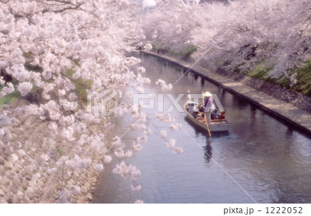 船頭さんに誘われて満開の松川へ 船頭さんに誘われて満開の松川へ 1222052