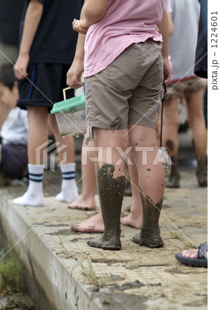 親子で田植え 1224601