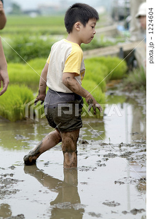 親子で田植え 1224604