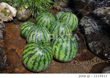 スイカ スイカ 1224613