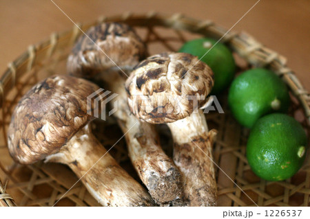 松茸とスダチ 1226537