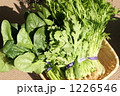 新鮮なお野菜 1226546