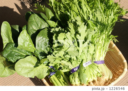 新鮮なお野菜 新鮮なお野菜 1226546