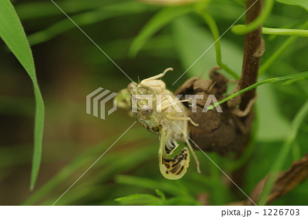 過去から未来へ 1226703