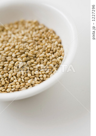 いりごま いりごま 1227296