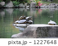 1227648