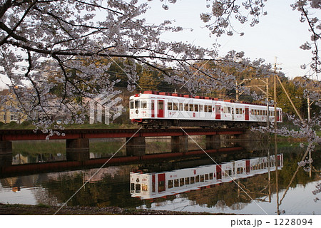 春の いちご電車 1228094