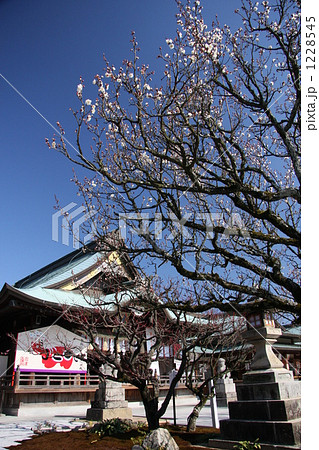 岩津天満宮 1228545