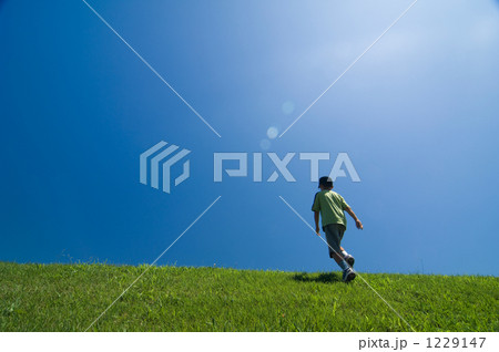 1229147
