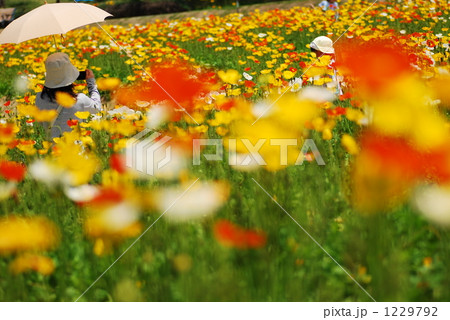 ゴールデンウイーク ゴールデンウイーク 1229792