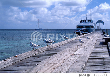 ニューカレドニアの桟橋 1229934