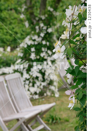 白いクレマチスのあるリラックススペース 1230438