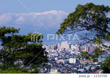 岳都甲府 1230706