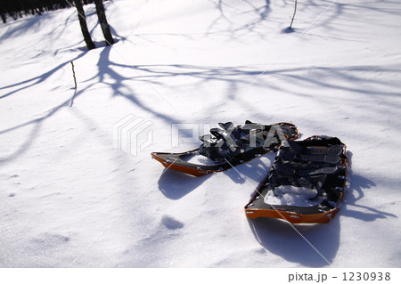 スノーシュー 1230938