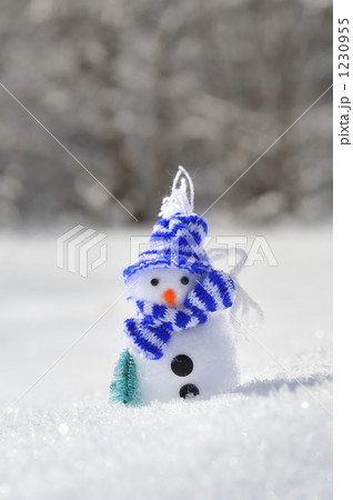 冬の季節イメージ 冬の季節イメージ 1230955