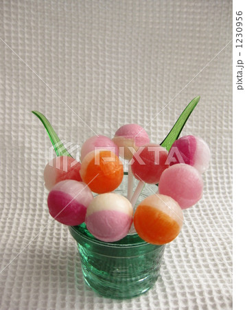 キャンディーの鉢植え 1230956