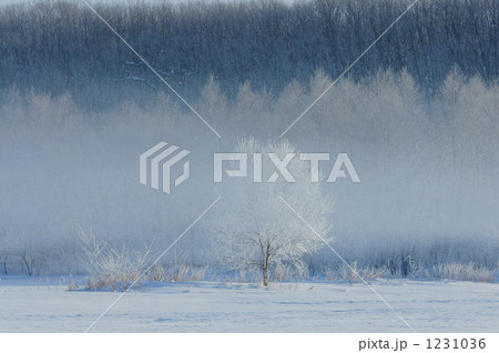 霧氷の朝② 1231036