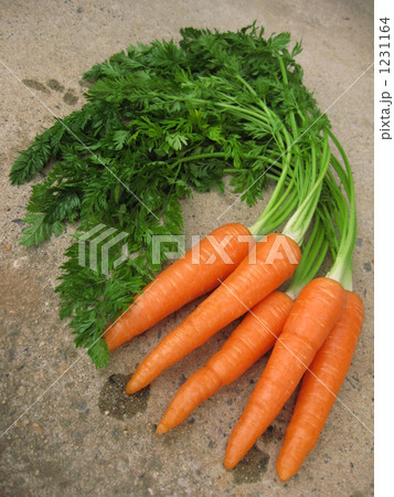 葉付き人参 1231164