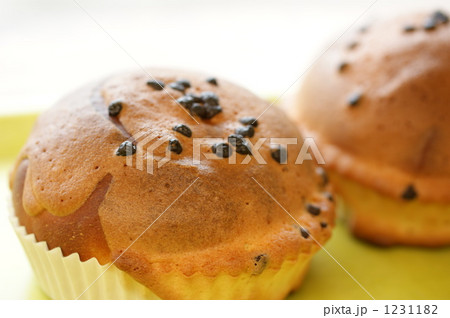 チョコチップのパン 1231182