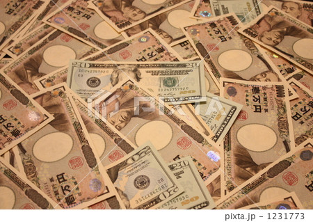 現金 現金 1231773
