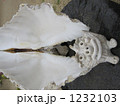 翼のシーサー??? 1232103