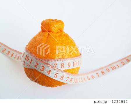1232912