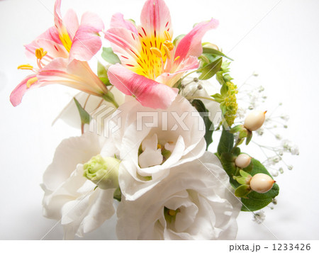 花束 1233426